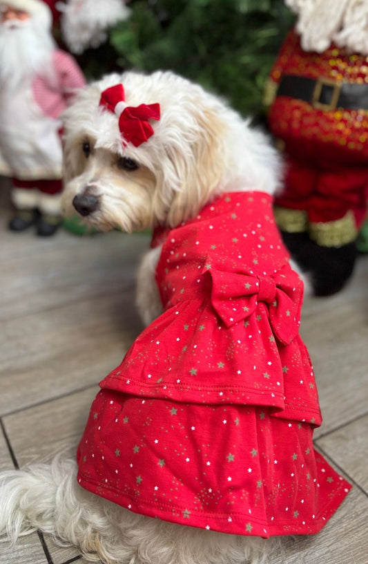 Vestido Festín